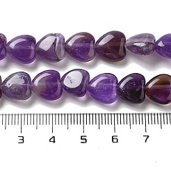 Natural Amethyst Beads Strands&nbsp;G-R190-10mm-42