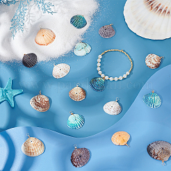 40Pcs Natural Shell Pendants&nbsp;PALLOY-ME00020