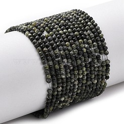 Natural Serpentine/Green Lace Stone Beads Strands&nbsp;G-Z116-A16-2mm