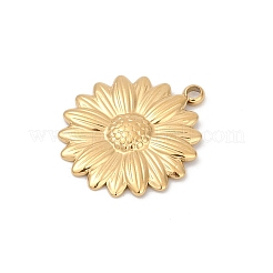 304 Stainless Steel Pendants&nbsp;STAS-C121-44F-G