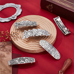 5Pcs 5 Styles Alloy Clip Hair Barrettes&nbsp;PHAR-PH0001-17