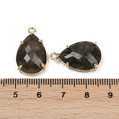 Natural Labradorite Faceted Pendants&nbsp;G-K347-05G-02