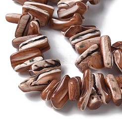 Dyed Natural Trochus Shell Beads Strands&nbsp;SSHEL-C013-09B
