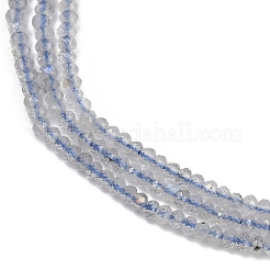 Natural Labradorite Beads Strands&nbsp;G-P553-F06-01
