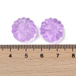 Transparent Glass Beads&nbsp;LS-DGLA-E004-05B