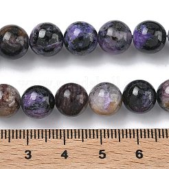 Natural Charoite Beads Strands&nbsp;G-C270-O03-08