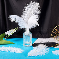 20Pcs 2 Styles Ostrich Feather Costume Accessories&nbsp;FIND-TA0005-96