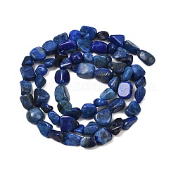 Natural Lapis Lazuli Beads Strands&nbsp;G-P597-B01-01