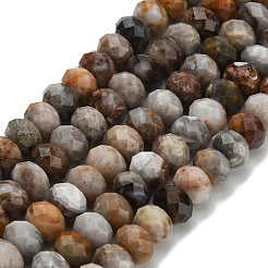Natural Gobi Agate Beads Strands&nbsp;G-Z111-A55