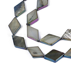Dyed Natural Freshwater Shell Beads Strands&nbsp;SHEL-T020-13A