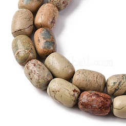 Natural Aqua Terra Jasper Beads Strands&nbsp;G-L624-C03-14x10mm