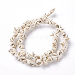 Synthetic Turquoise Beads Strands&nbsp;TURQ-L029-03B