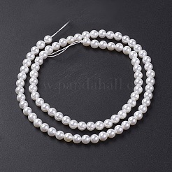 Shell Pearl Bead Strands&nbsp;BSHE-P023-3mm
