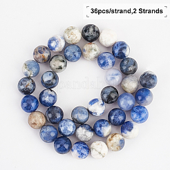 Natural Sodalite Beads Strands&nbsp;G-OC0001-66-10mm