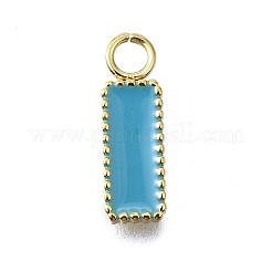 304 Stainless Steel Charms&nbsp;STAS-H233-11G