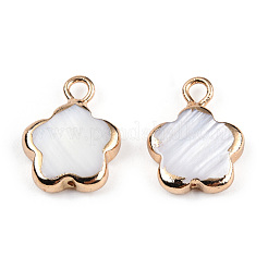 Electroplated Natural Freshwater Shell Charms&nbsp;SHEL-N032-218