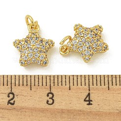 Rack Plating Brass Micro Pave Clear Cubic Zirconia Charms&nbsp;KK-Z067-23G-04