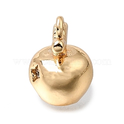 Brass Micro Pave Clear Cubic Zirconia Charms&nbsp;KK-N290-20G