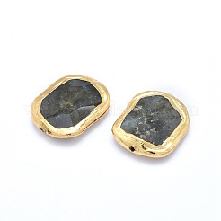 Natural Labradorite Beads&nbsp;G-P380-07G