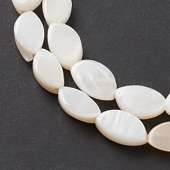 Natural Freshwater Shell Beads Strands&nbsp;BSHE-E028-03