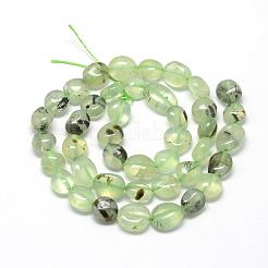 Natural Prehnite Beads Strands&nbsp;G-R445-8x10-25