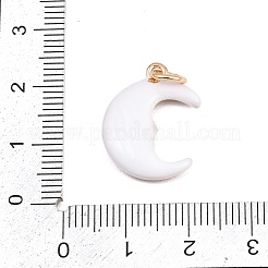 Brass Enamel Pendants&nbsp;ENAM-I087-03C