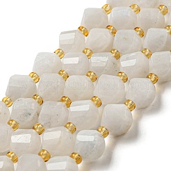 Natural Rainbow Moonstone Beads Strands&nbsp;G-M443-B05-02