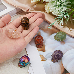 6Pcs 6 Styles Resin Skull Display Decoration&nbsp;DJEW-DC0001-15