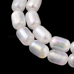 Natural Selenite Beads Strands&nbsp;G-F750-B-20