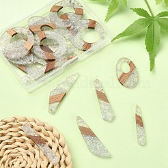 20Pcs 10 Styles Transparent Resin & Walnut Wood Pendants&nbsp;RESI-YW0001-30