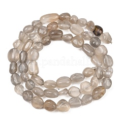 Natural Grey Moonstone Beads Strands&nbsp;G-G464-A02-01