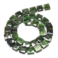 Natural Canadian Jade Beads Strands&nbsp;G-G106-D03-01