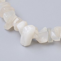 Natural White Moonstone Stretch Bracelets&nbsp;X-BJEW-JB03681-09