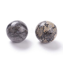 Natural Map Stone Beads&nbsp;G-D456-01