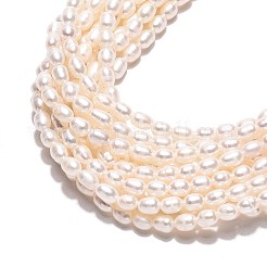 Natural Cultured Freshwater Pearl Beads Strands&nbsp;PEAR-N024-03-2AB