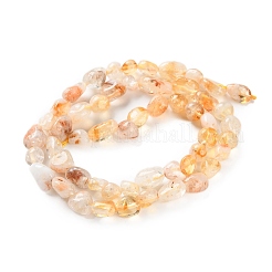 Natural Lodolite Quartz Beads Strands&nbsp;G-P497-01C-28