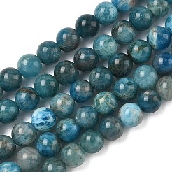 Natural Apatite Beads Strands&nbsp;G-F816-A01-01A