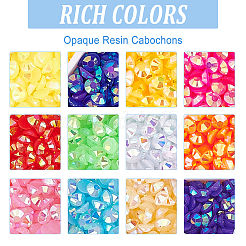 12 Colors Opaque Resin Cabochons&nbsp;CRES-PH0001-05
