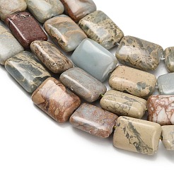 Natural Aqua Terra Jasper Beads Strands&nbsp;G-Z110-F01-10x14mm