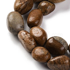Natural Picture Jasper Beads Strands&nbsp;G-G146-A01-01