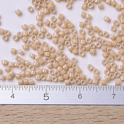 MIYUKI Delica Beads&nbsp;SEED-JP0008-DB0208
