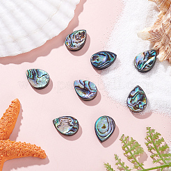 8Pcs Natural Abalone Shell/Paua Shell Beads&nbsp;SHEL-HY0001-18