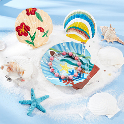 20Pcs 4 Style Natural Scallop Shells&nbsp;SSHEL-PH0001-23
