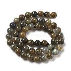 Natural Labradorite Beads Strands&nbsp;G-I253-01