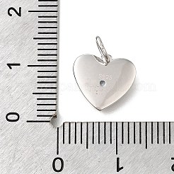 925 Sterling Silver Micro Pave Clear Cubic Zirconia Charms&nbsp;STER-V001-01P-12