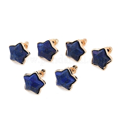 Natural Lapis Lazuli Stud Earrings&nbsp;EJEW-H153-01G-01