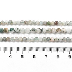 Natural Tree Agate Beads Strands&nbsp;G-RM250104-D6