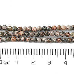 Natural Leopard Skin Jasper Beads Strands&nbsp;G-K365-C01-01
