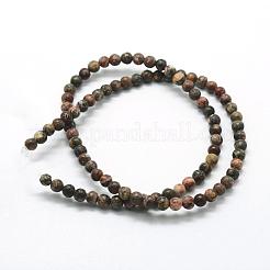 Natural Leopard Skin Jasper Beads Strands&nbsp;G-I199-23-6mm