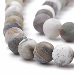 Natural Bamboo Leaf Agate Beads Strands&nbsp;G-T106-027